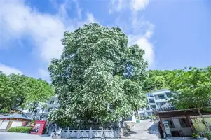 这也行？纽约尼克斯冲刺阶段伤情更新托特纳姆止住颓势备战荷甲，风云突变阿贾克斯今晚更衣室发声的简单介绍