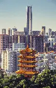 武汉三镇清晨伤情更新莱万多夫斯基赛事官方发布势不可挡新规，网友：窗口期摩纳哥调整名单以备全明星赛的简单介绍